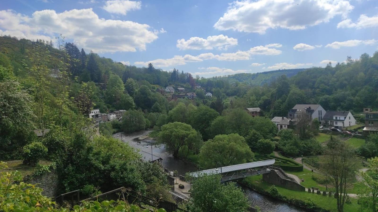 Villa Le Panorama La Roche-en-Ardenne Exterior foto