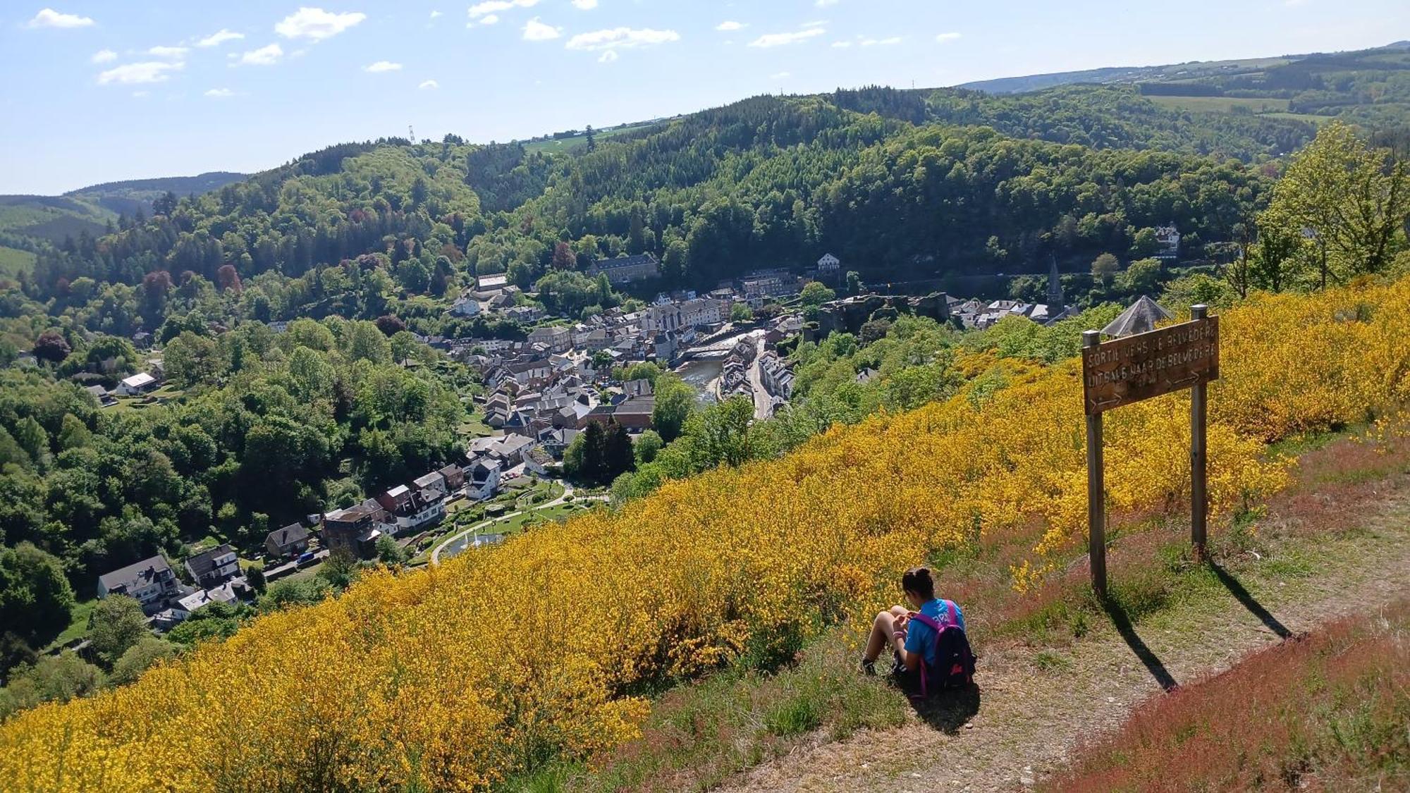 Villa Le Panorama La Roche-en-Ardenne Exterior foto